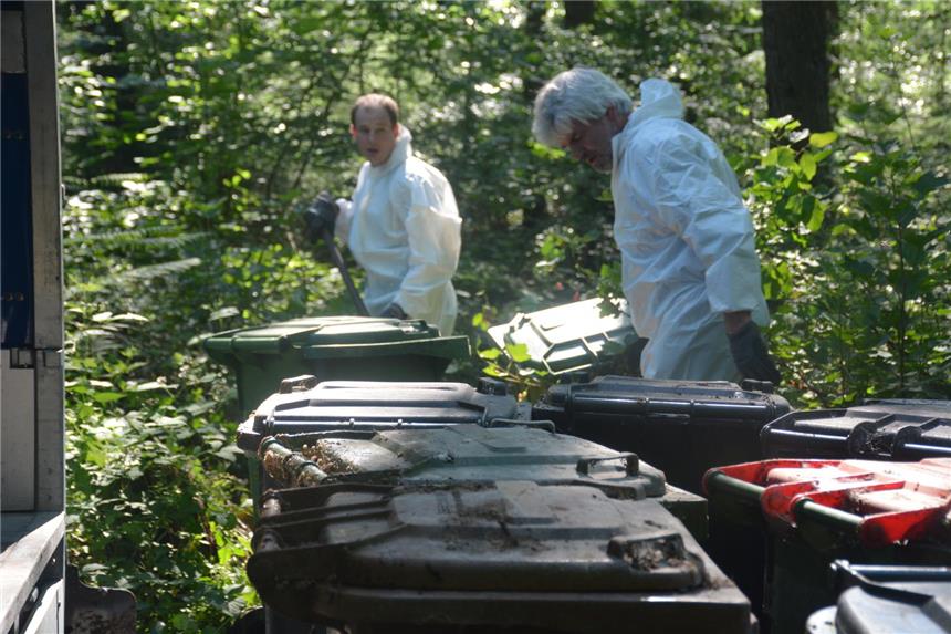 Firma holte Ekelmüll aus dem Wald Mitarbeiter einer Spezialfirma haben gestern den illegal abgeladenen Müll in Lavesum abgeholt.