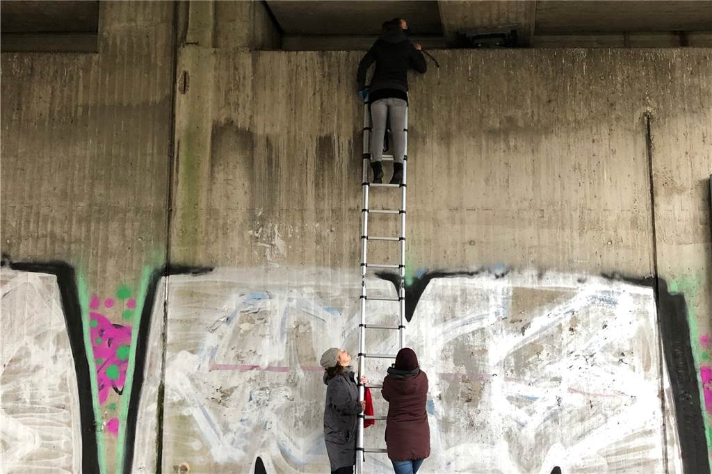 Ruhrpottmöwen: Mit Leitern und Gipseiern auf der Suche nach Taubennestern Mithilfe einer langen Leiter konnten Mitglieder der Ruhrpottmöwen an einer Autobahnbrücke in Castrop-Rauxel Eier austauschen.