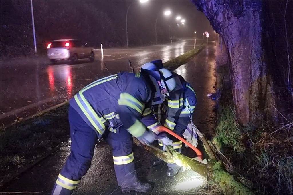 Ticker zum Sturm in Werne und Ascheberg: Antonia trifft ein - Ausfälle bei der Eurobahn Mittels Muskelkraft wurde der Baum mit vereinten Kräften zur Seite getragen. Im Anschluss wurde dieser mittels Bügelsäge zerkleinert und damit der Fahrradweg freigeschnitten. Für die Einsatzdauer von 10 Minuten war die Kamener Straße einseitig kurz gesperrt.