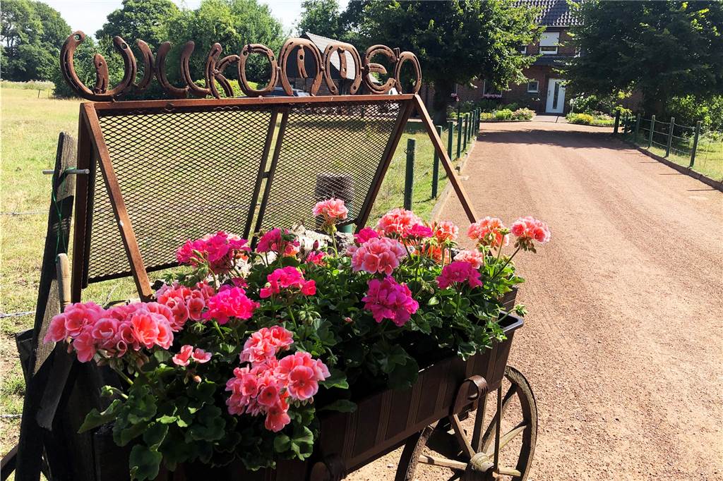 Leonore Demmer zeigt ihr Traumhaus und Gartenparadies (mit Video) Mitten im Grünen liegen Haus und Garten von Leonore Demmer in Dorsten.