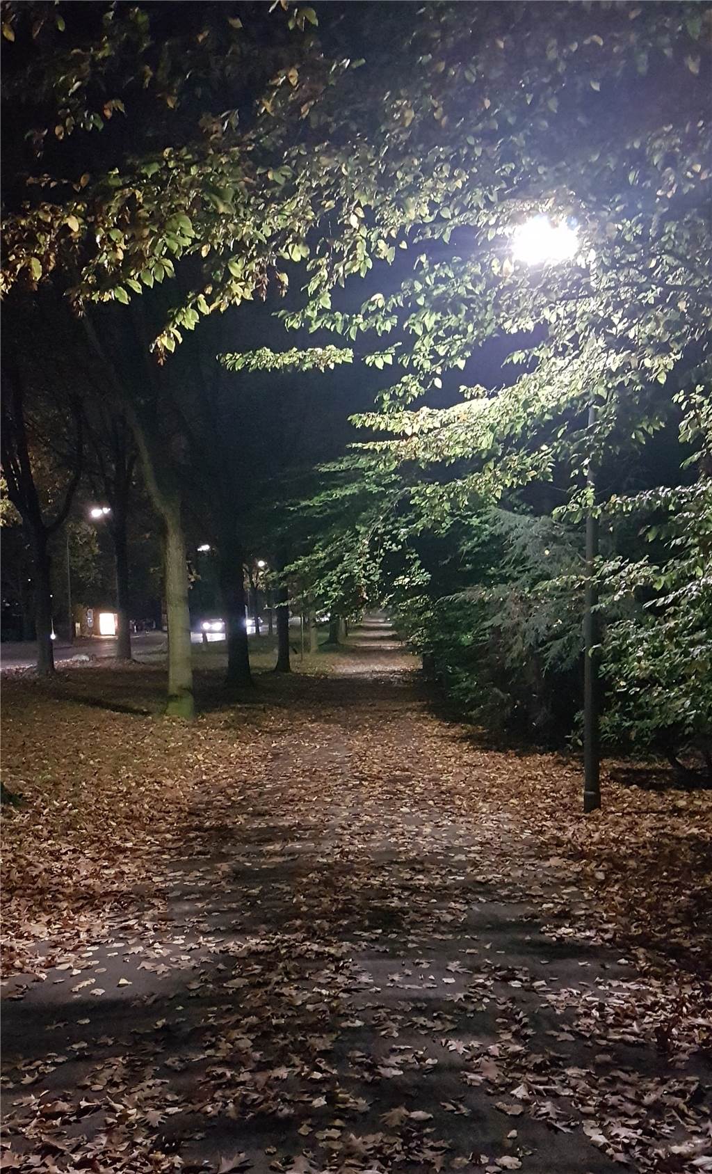Stadt erweitert Radwegbeleuchtung ohne Vorankündigung - Bezirksvertretung verwundert Mittlerweile ist der Fuß- und Radweg an der Osterfeldstraße beinahe durchgehend beleuchtet, sodass dieser auch in der dunklen Jahreszeit ohne Gefahr genutzt werden kann.