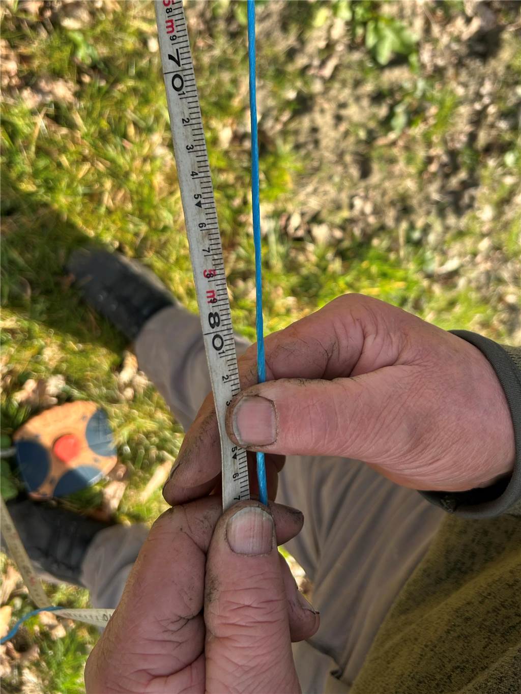 Grundwassernutzung durch die SGW: Vredener Waldbauer beklagt Schäden Mittlerweile liegt der Grundwasserpegel bei rund 5,8 Metern. Das ist kaum mehr als in den vergangenen Jahren.