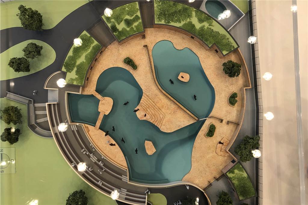 Baustelle am Robbengehege: Wann können Dortmunder das Seelöwen-Baby besuchen? Modell des 12,4 Millionen Euro teuren, neuen Robbengeheges.