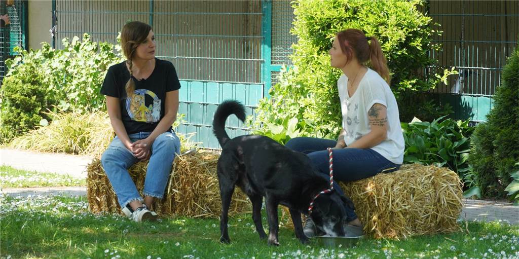 Tiere suchen ein Zuhause: Ein ganzer Drehtag im Tierheim Dorsten (mit Video) Moderatorin Simone Sombecki unterhält sich mit Tierpflegerin Janina Hahn, die Hund Blacky vorstellt.