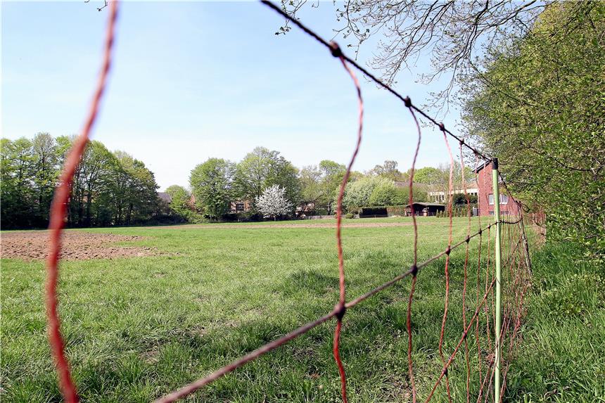 Bebauungsplan für Eikawäldchen in Stockum verschiebt sich Momentan ist das Grundstück von Bauer Schürmann noch landwirtschaftliche Fläche. Derzeit erstellt die Stadt einen Bebauungsplan für das Grundstück am Eikawäldchen.