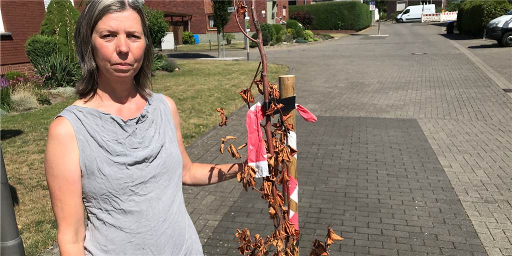 Verkümmerter Baum in Werner Wohngebiet sorgt für Ratlosigkeit bei Anwohnern Eine Frau steht neben einem Baum.