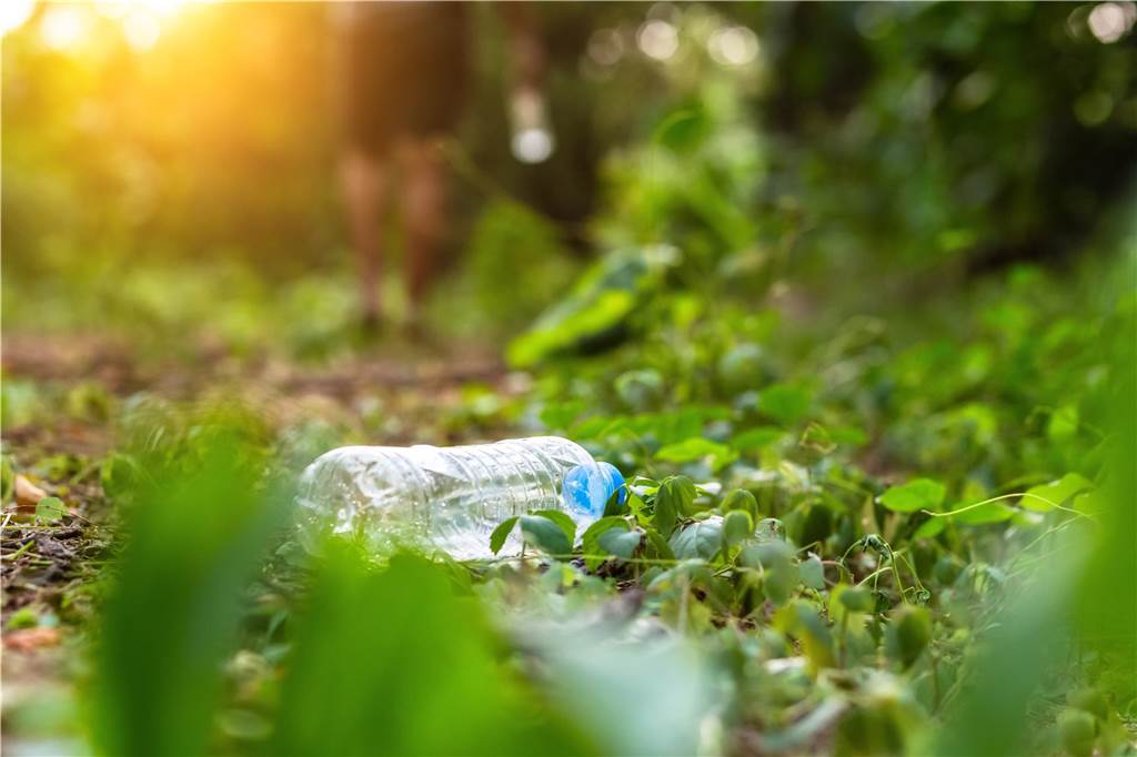 Zwei Ranger für die Wälder im Kreis Wesel werden gesucht Immer wieder liegt Plastik in den Wäldern von Schermbeck.