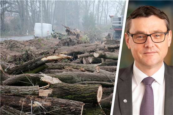 Kahlschlag am Schützenweg: Gutachter beziffert Schaden auf 36.000 Euro