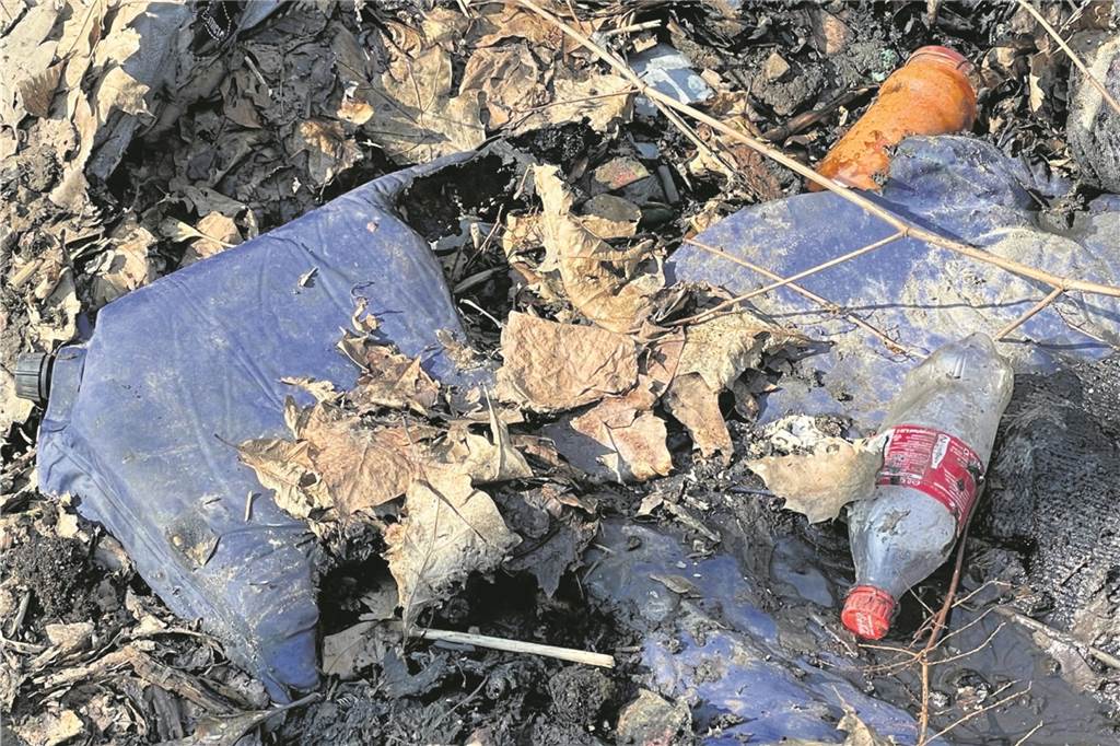 Wem gehörte das verbrannte Zeltlager in Herten? Förster Klar hegt eine Befürchtung Nach dem Flächenbrand im Schlosswald bleiben Reste einer aufblasbaren Isomatte, ein Grablicht und eine Flasche zurück.