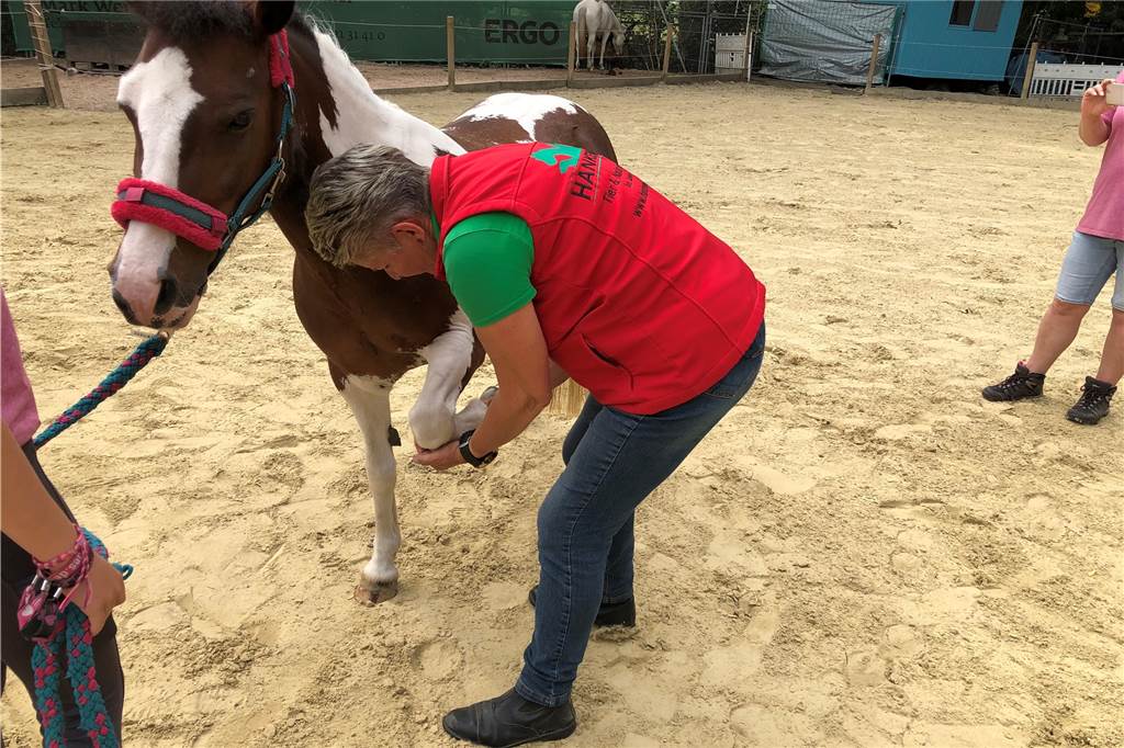 Witwe des „Knochenbrechers“ hat in Dortmund Pferde und Hunde eingerenkt Nach dem Tod ihres Mannes Tamme Hanken, der als "Knochenbrecher" bekannt geworden is, musste sich Carmen Hanken ihren Ruf in der Branche erarbeiten. Heute arbeitet sich erfolgreich als Therapeutin und hilft Tieren in ganz Deutschland.