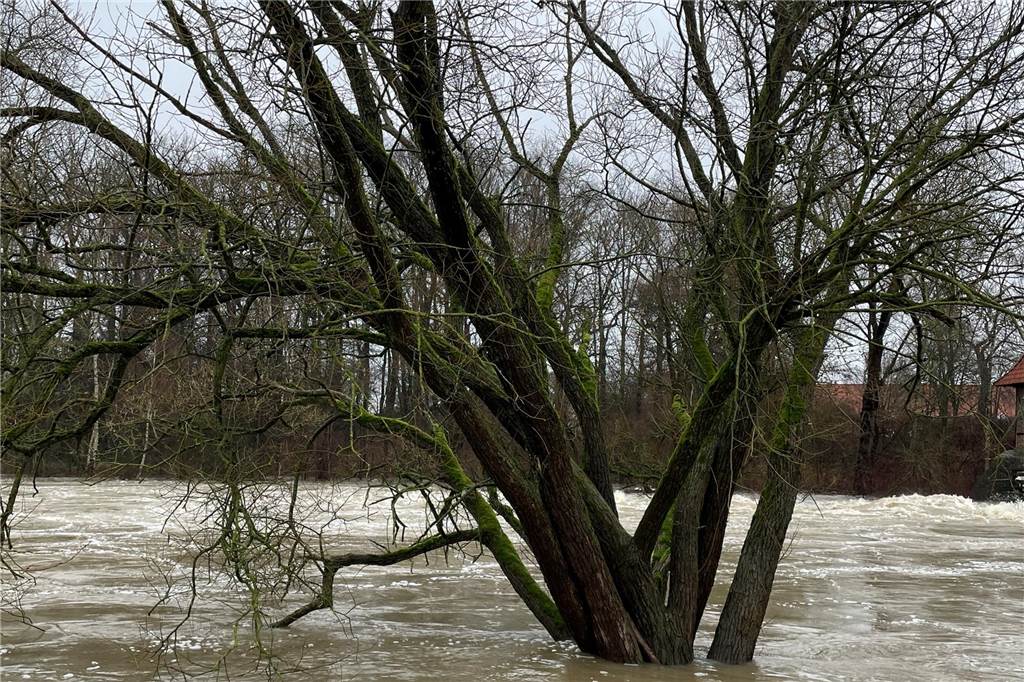 Nach dem vielen Regen der vergangenen Tage ist der Stever-Pegel stark gestiegen und liegt an der Messstelle Füchtelner Mühle in Olfen deutlich über zwei Meter. Auf flussnahen landwirtschaftlichen Flächen konnte es dadurch zu Überschwemmungen kommen.