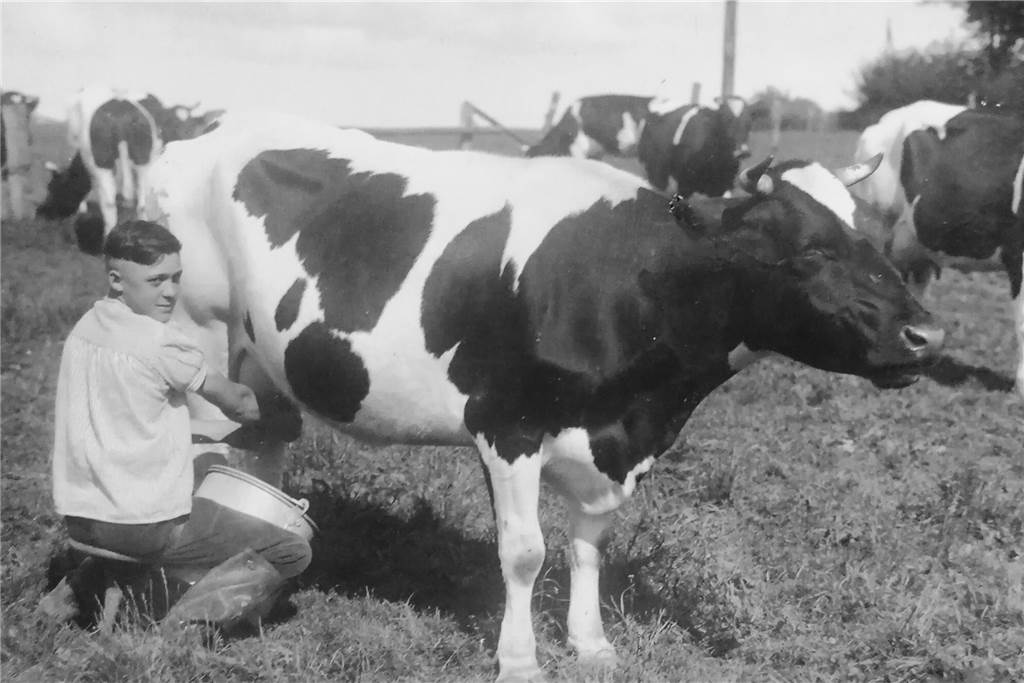 102-jähriger Dortmunder erzählt: „Ich hätte Hitler erschießen können“ Nach dem Volksschulabschluss machte Heinz Becker eine Ausbildung zum Melker in Kappeln an der Schlei.
