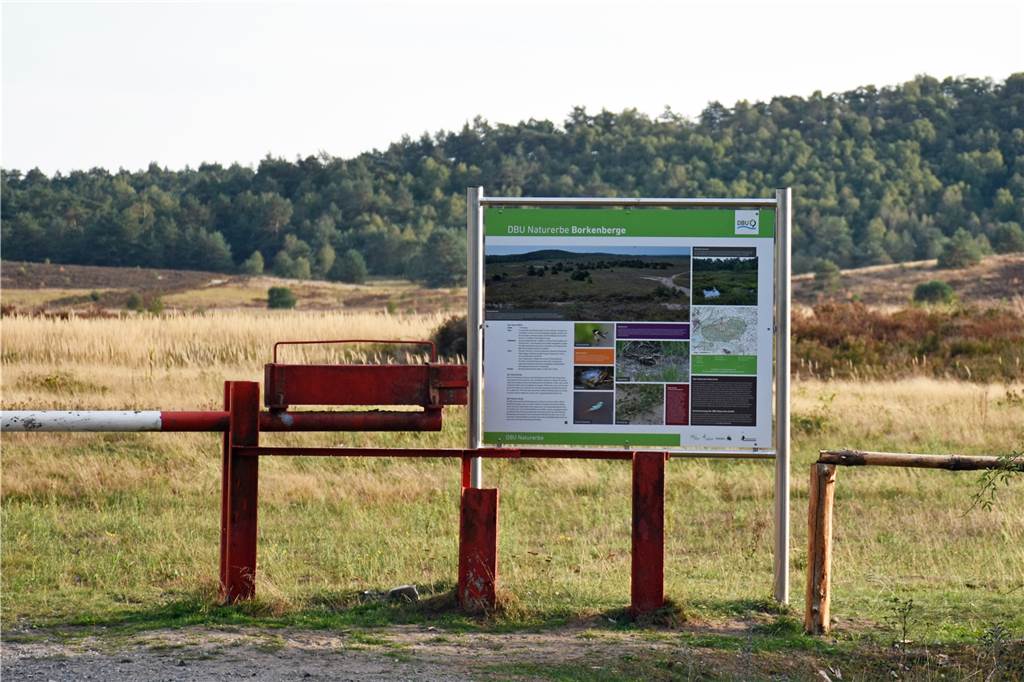 Borkenberge: Erstes Projekt im Moor vor Abschluss - offene Fragen bleiben Nach dem Wunsch der Eigentümerin sollen auf einer großen Ganzjahresweide Robust-Rinder, -Pferde oder Wisente leben. Nur ist völlig unklar, wer das finanziert.