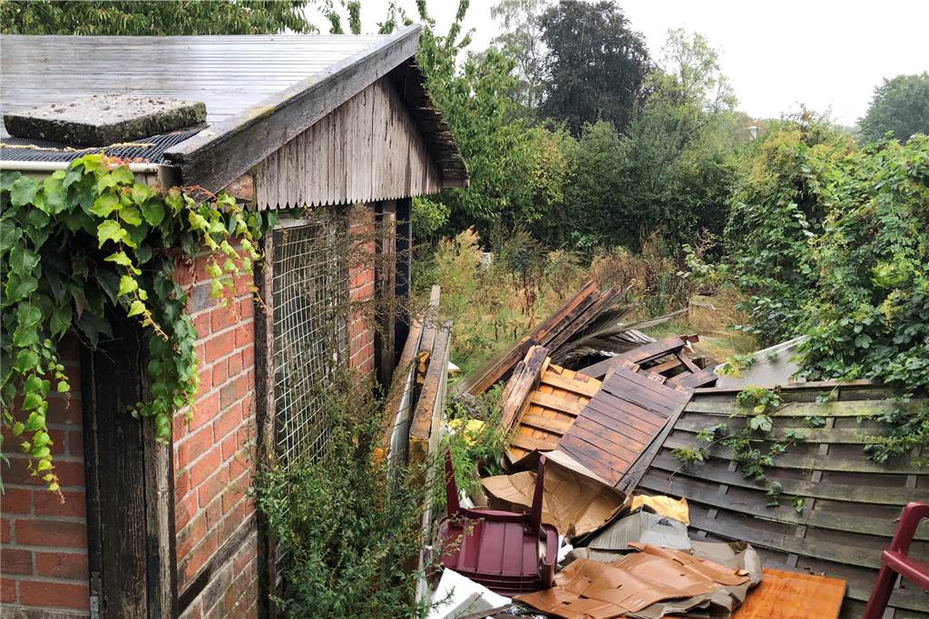 Molkereiweg in Stadtlohn: Schrebergärten müssen weichen, Bolzplatz bleibt Nach der Kündigung der Pachtverträge wuchern die Pflanzen und verfallen die Lauben und Hühnerställe in den Schrebergärten am Molkereiweg.