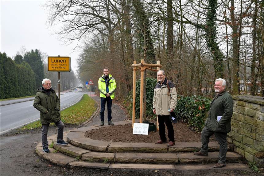 Steinsbuche zwischen Lünen und Selm ersetzt: Neuer Baum mit Besonderheit Nach der Pflanzaktion (v.l.): Jochen Heinrich, Baumfachmann vom Arbeitskreis Umwelt und Heimat Lünen, Enrico Schürmann, Baumexperte der Stadt Lünen, Horst Störmer, Stadtverband für Heimatpflege und Heinrich Janssen, Heimatverein Cappenberg.