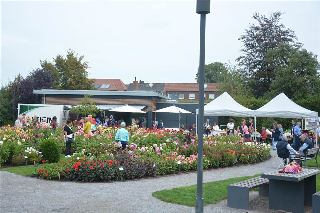 Blumenkorso in Legden 2023