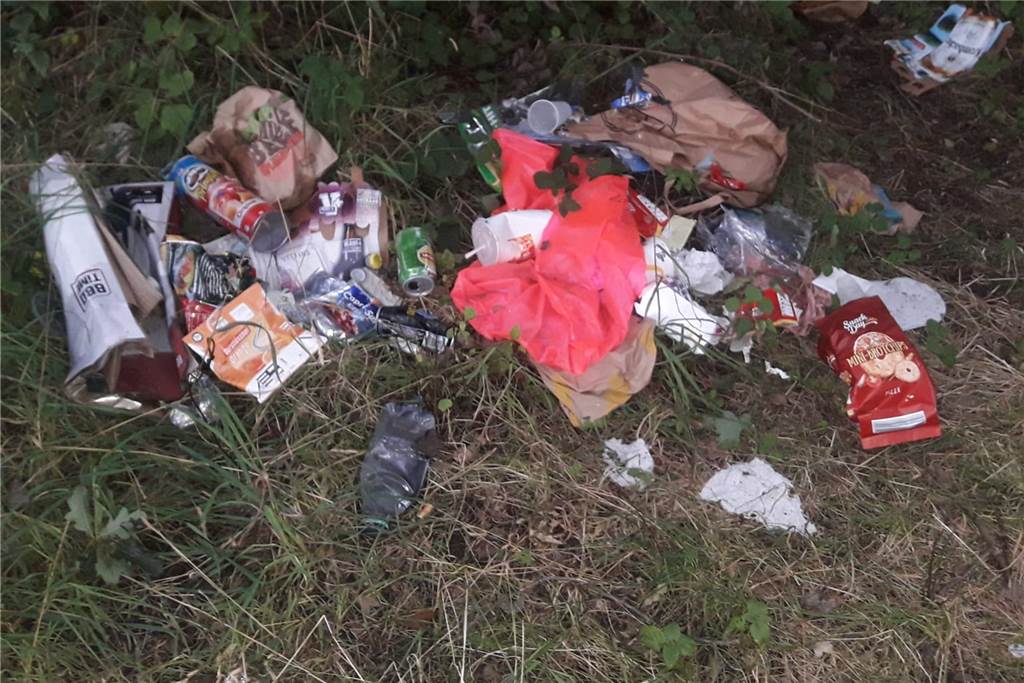 Nach lauen Frühlings- oder Sommernächsten liegen am nächsten Tag an den Seen jede Menge Müll – sehr zum Ärger der Angelsportvereins.