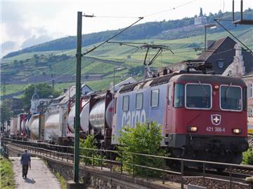 Nach Rückgängen im Vorjahr rechnen die Statistiker für dieses Jahr mit einem Wachstum beim Transportaufkommen. Foto: Boris Roessler
