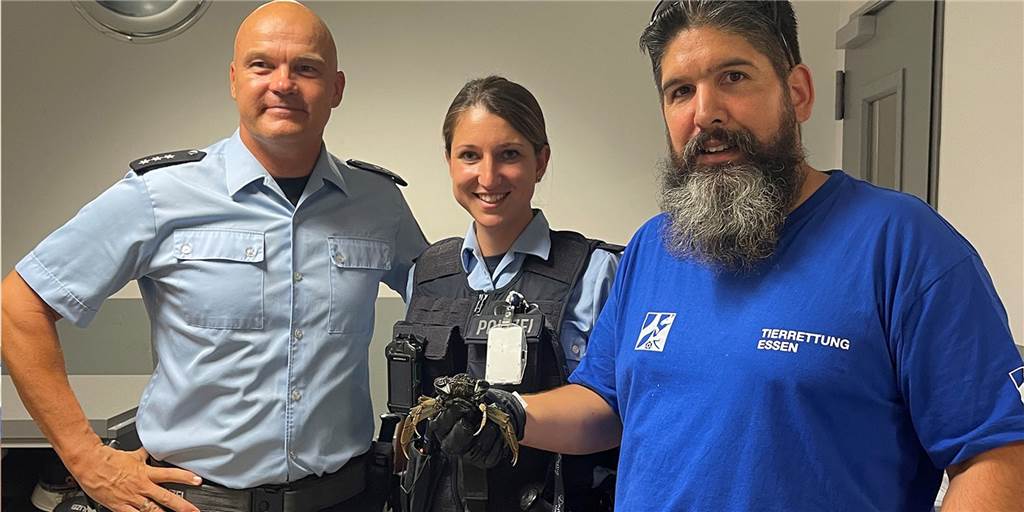 Krabbe „Karl“ fährt Zug von Haltern nach Hagen – Bundespolizei greift ein Nach seiner Fahrt mit der S-Bahn landete Karl die Krabbe in der Obhut von Bundespolizei und Tierrettung Essen.
