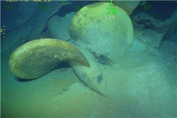 Nach Torpedotreffer eines japanischen U-Boots sank die „USS Juneau“ innerhalb einer Minute. Mehr als 680 Mann fanden den Tod. Foto: Paul Allen/AP