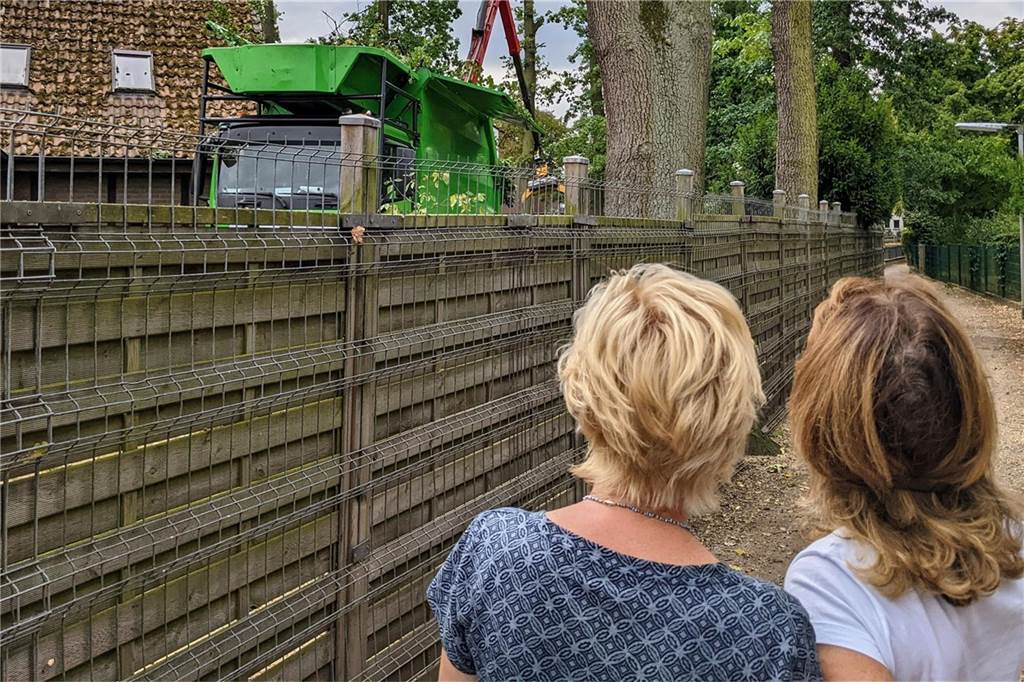Nach strittiger Baumfällaktion: Nachbarn kritisieren Neubaupläne Nachbarn waren entsetzt, als sie die Fällaktion vor einem Jahr bemerkten.