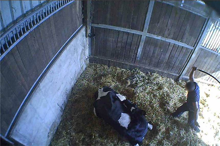 Nach Mecke-Skandal: Soko Tierschutz lädt ein zum Bürgergespräch in Werne Nachdem die Zustände in der Viehsammelstelle der Firma Mecke in Werne bekannt wurden, stellen sich Bürgerinnen und Bürger viele Fragen. Diese sollen beim Bürgergespräch mit der Soko Tierschutz beantwortet werden.