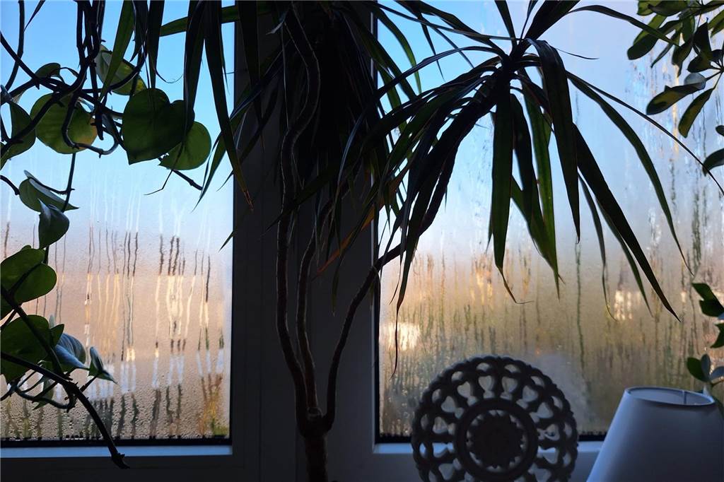Zehn Tage ohne Heizung und Warmwasser Nachts bildete sich Kondenswasser am Wohnzimmerfenster von Janett Sachweh.