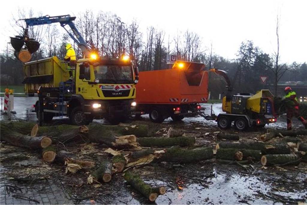 Nahe des BVB-Stadions ist ein Baum umgestürzt und hat eine Straße blockiert.