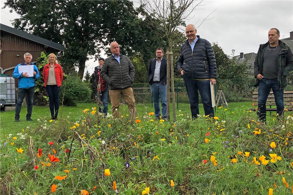 Natürlich gibt es auch jede Menge Blühendes auf dem Gelände der Dorfimkerei im Heeker Stiegenpark.
