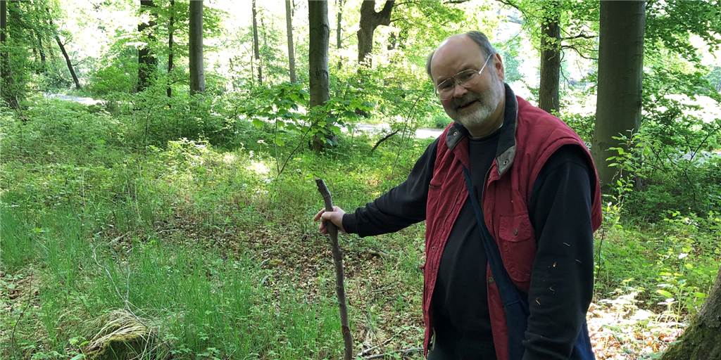 Alter Hase oder Lockvogel: Woher kommen diese Begriffe eigentlich? Naturparkführer im Wald