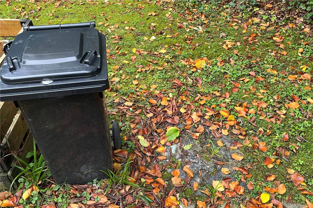 Vandalismus auf dem Hauptfriedhof: Schnapsflaschen, Müll, Zerstörung Neben der neuen Mülltonne sieht man noch die Spuren der Verbrannten auf dem Boden.