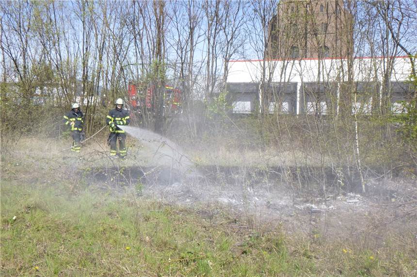 Feuerwehr rückt zu Flächenbrand aus – und warnt vor erhöhter Gefahr Neben einem Betriebsgelände in Dortmund musste die Feuerwehr einen Flächenbrand löschen.