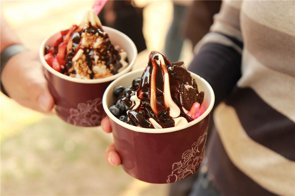 Neben herzhaften Speisen gibt es auch Süßes zum Nachtisch: Frozen Yoghurt.