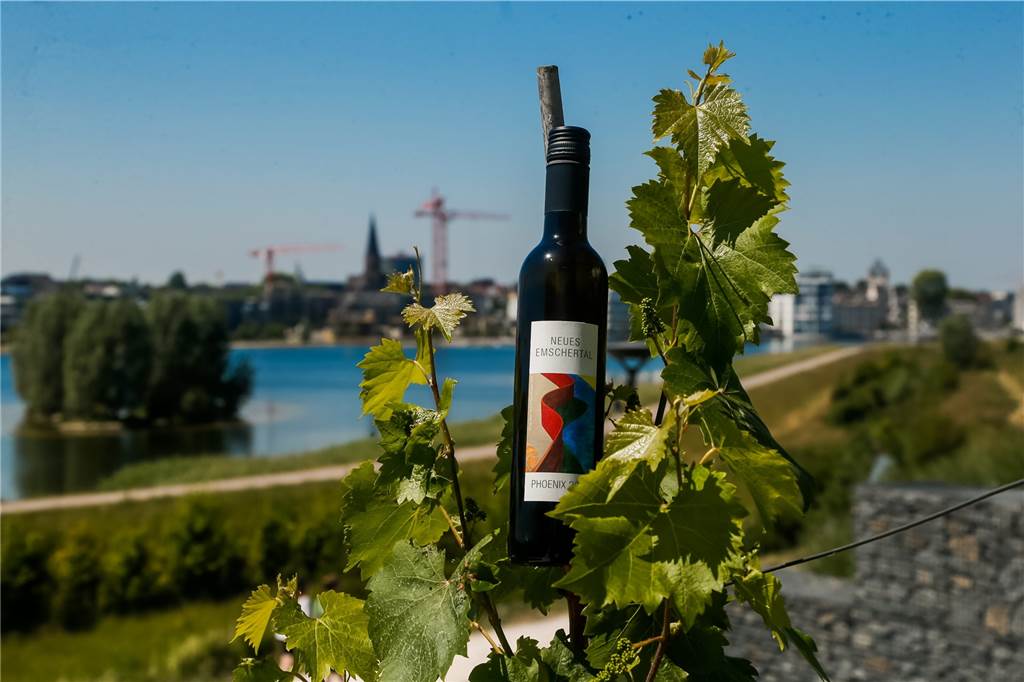 „Neues Emschertal" heißt der Wein vom Phoenix-See.