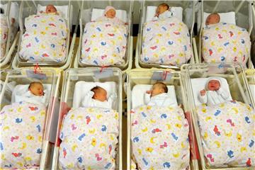 Neugeborene auf der Entbindungsstation: Der Babyboom hält an. Foto: Waltraud Grubitzsch