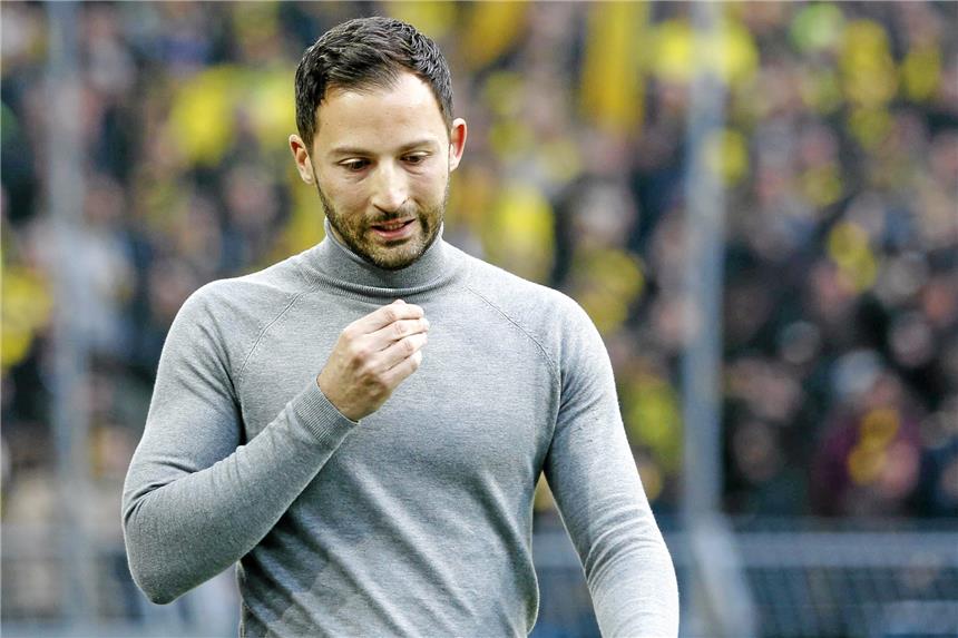 Was Domenico Tedesco von anderen Trainern unterscheidet Neugier, Demut und taktische Finesse: Domenico Tedesco überzeugt beim FC Schalke 04.