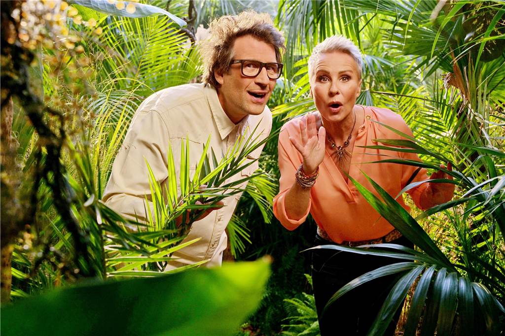 Dschungelcamp 2023: RTL gibt Starttermin bekannt : An diesem Datum beginnt die Show Die Moderatoren, Daniel Hartwich und Sonja Zietlow.