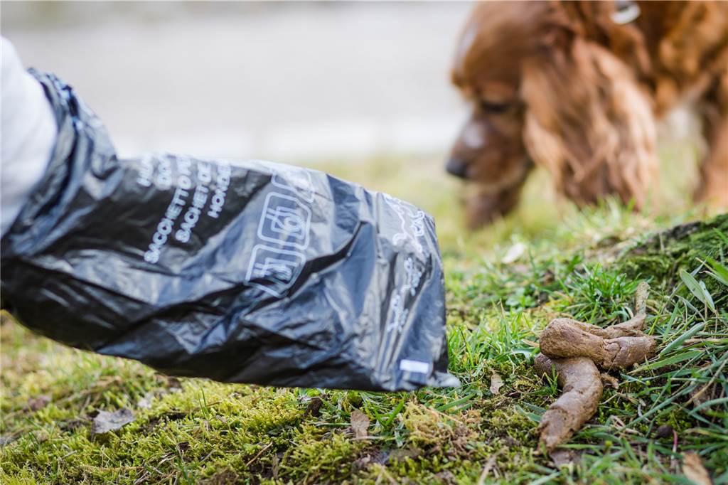 Rasen voller Hundekot: Beim Mähen fliegt „den Jungs der ganze Mist um die Ohren“ Nicht alle Hundebesitzer machen den Dreck weg. Leidtragende sind Landschaftsgärtner, die Rasen mähen müssen.