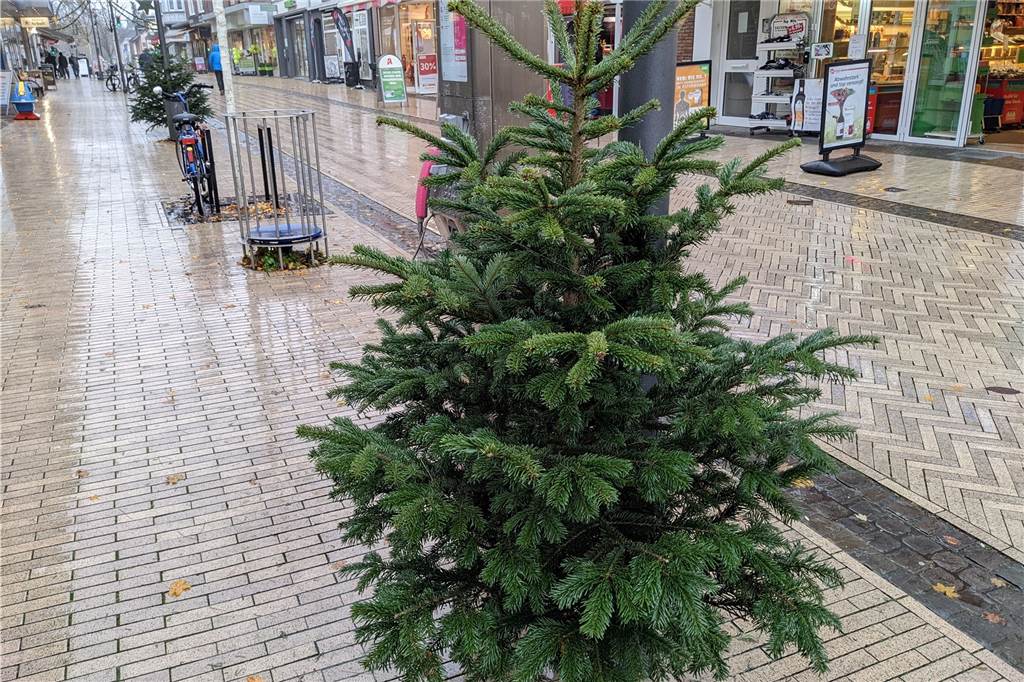 Dekorierte „Ehrenamts-Tannen“ sorgen in Dorsten für Vorweihnachtsflair Nicht alle Tannen sind schon geschmückt.