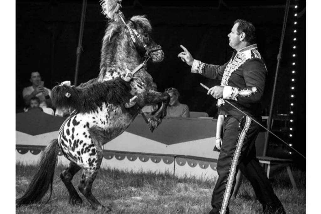 Circus Florida gastiert an einem neuen Standort Circus Florida in Castrop-Rauxel