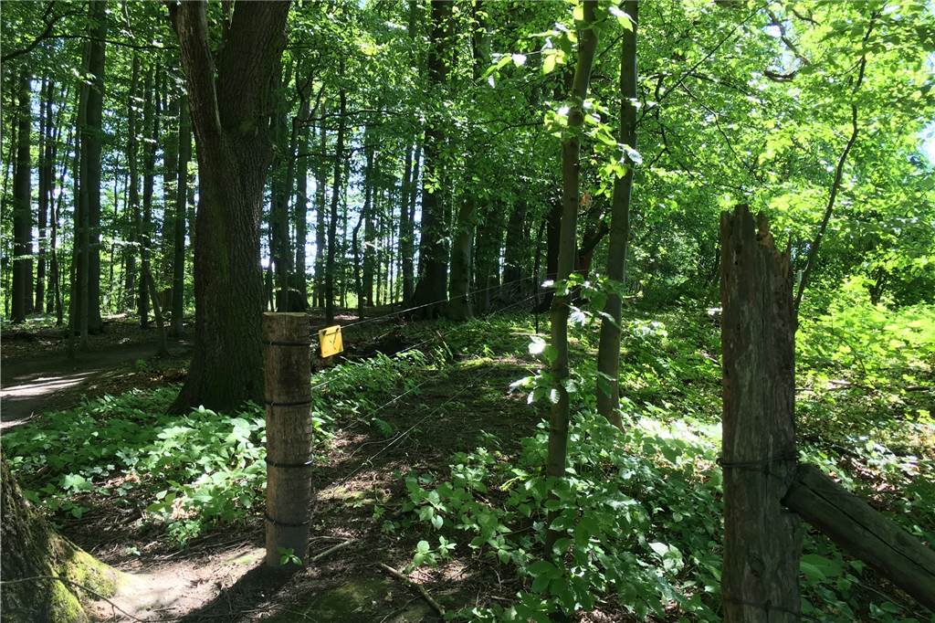 Streit um Spazierweg am Golfplatz: Ist Überqueren lebensgefährlich? Nicht das gesamte Areal ist umzäunt.