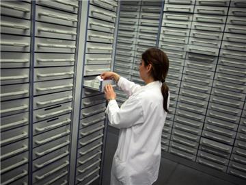 Nicht jeder Lieferengpass bedeutet, dass es ein Medikament nicht mehr zu kaufen gibt: In den meisten Fällen gebe es Alternativen, beruhigt das Bundesgesundheitsministerium. Foto: Fredrik von Erichsen