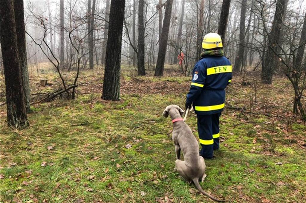 Beim THW Unna-Schwerte geht es gemeinsam mit dem Hund ins Ehrenamt Nicht nur auf Trümmerfelder kommen die Hunde zum Einsatz, auch im offenen Gelände helfen sie bei der Suche nach Vermissten oder Abgängigen.