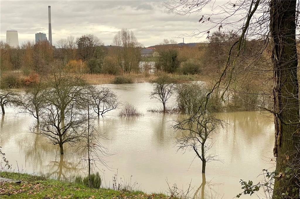 Sorge um Heckrinder in den Lippeauen: Schaulustige gefährden Tiere Nicht nur für Heckrinder hat sich der Lebensraum dramatisch verändert durch das Lippe-Hochwasser.