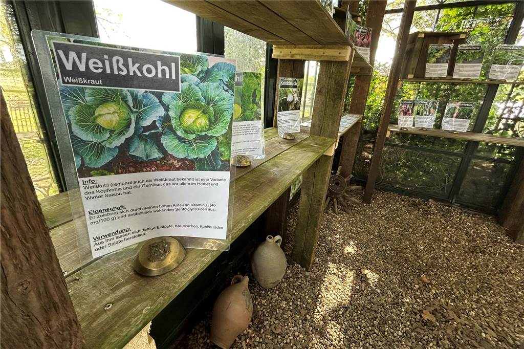 Vredener Hof setzt auf ursprüngliches Landwirtschaftskonzept Nicht nur klassische Sorten wie Weißkohl werden auf dem Landgut in Köckelwick angebaut, sondern auch seltenere Sorten wie zum Beispiel lila Karotten.