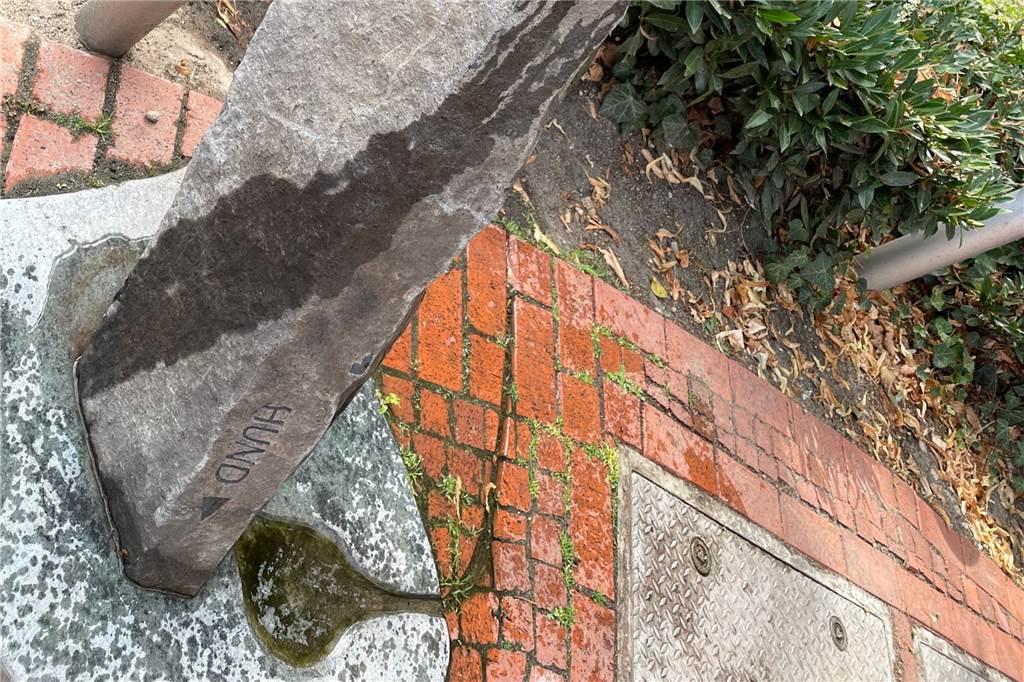 Kostenloses Trinkwasser in Südkirchen: Trinkbrunnen als Hitzevorsorge Nicht nur Menschen haben bei Hitze schnell Durst - in Südkirchen wird auch an Hunde gedacht.