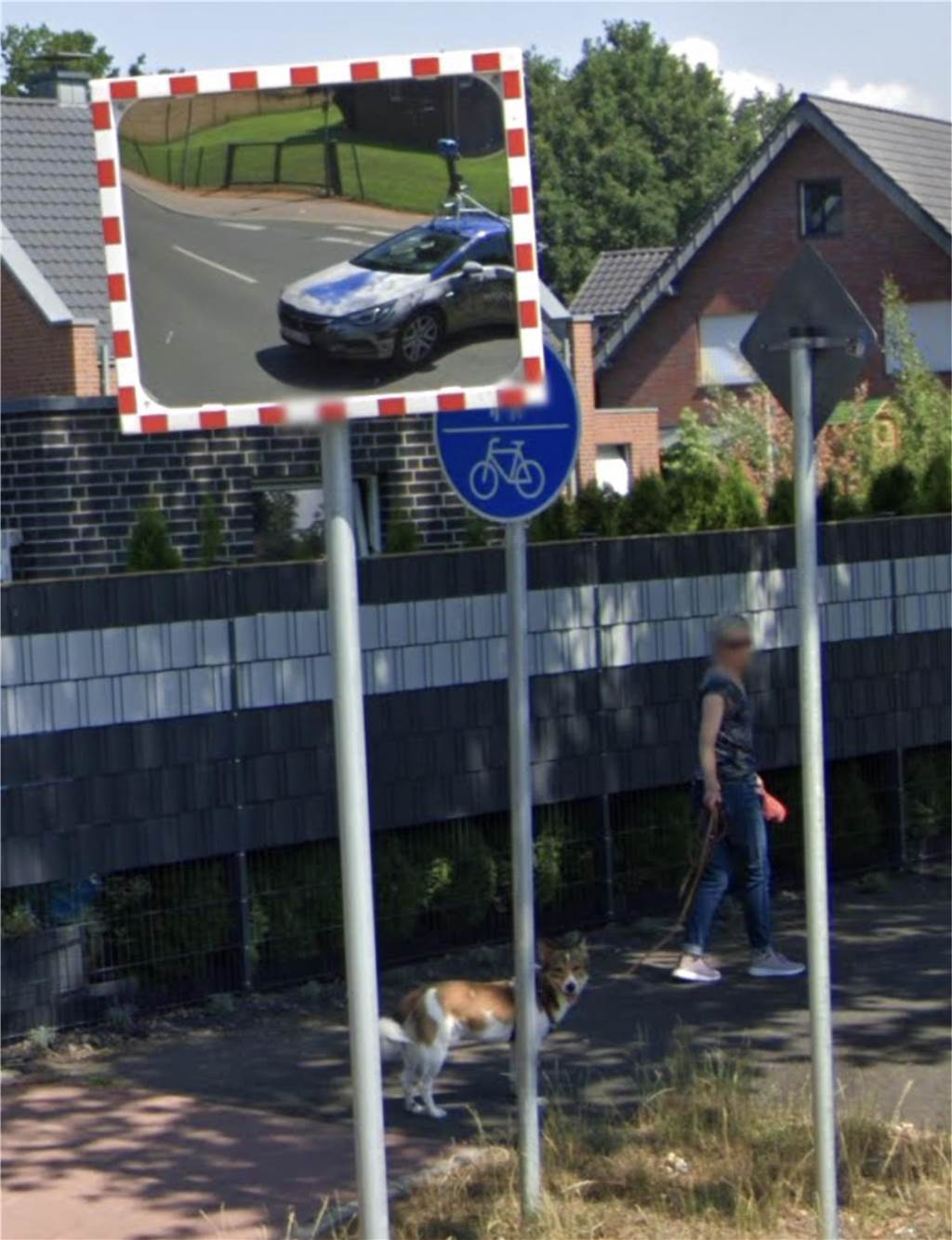 Nicht nur Menschen sind verdutzt vom Google-Street-View-Auto. Auch dieser Hund hat scheinbar zum ersten Mal ein Auto mit riesiger Kamera auf dem Dach gesehen.