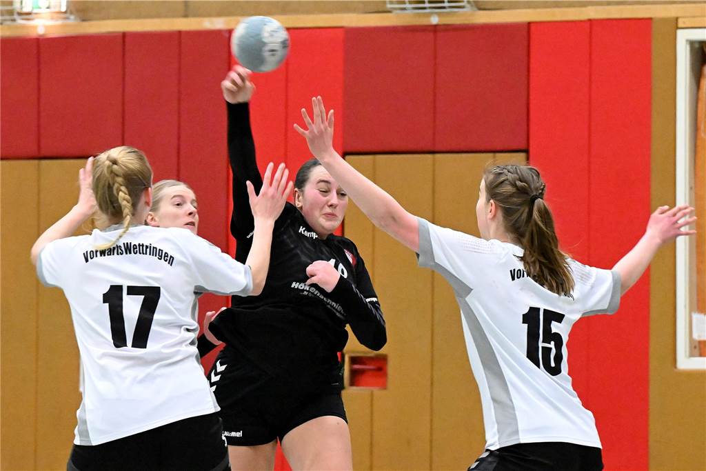Nichts zu holen gab es am Wochenende für die Handballerinnen des Lüner SV und des VfL Brambauer.