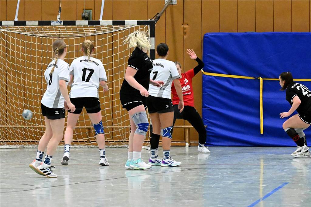 Nichts zu holen gab es am Wochenende für die Handballerinnen des Lüner SV und des VfL Brambauer.