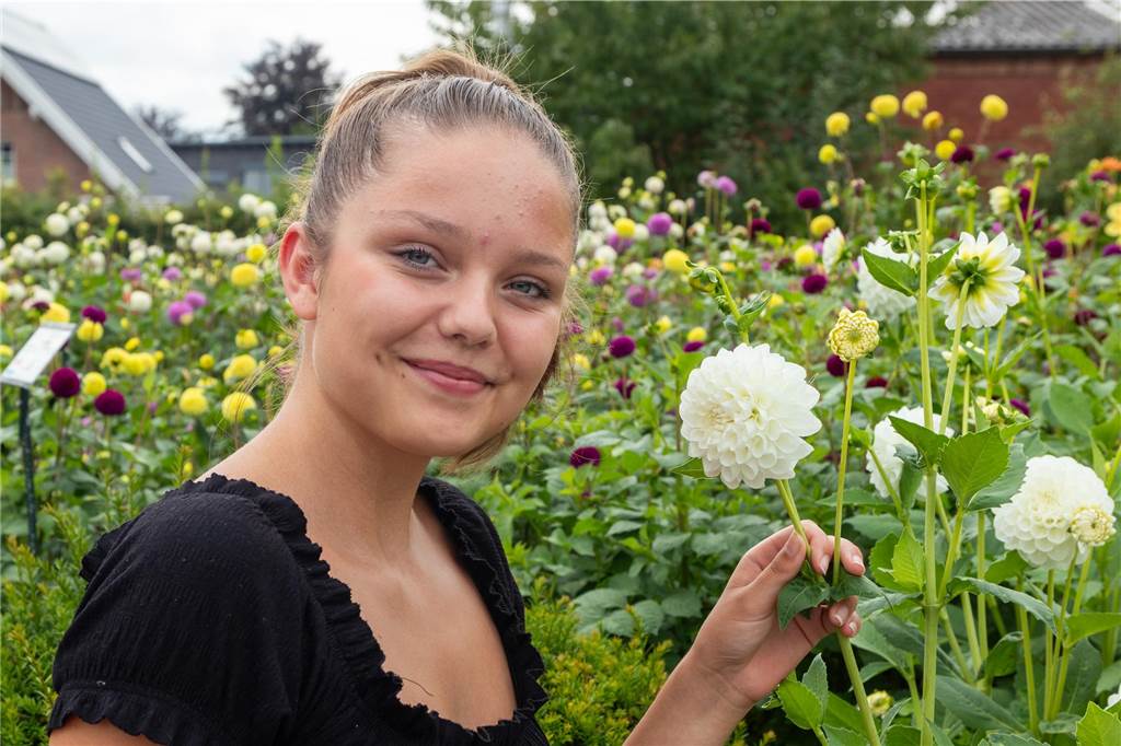 Der Traum vieler Legdener Mädchen: Warum Nina Iking zweimal gekrönt wird Nina Iking mit ihrer Dahlie "New Nina".